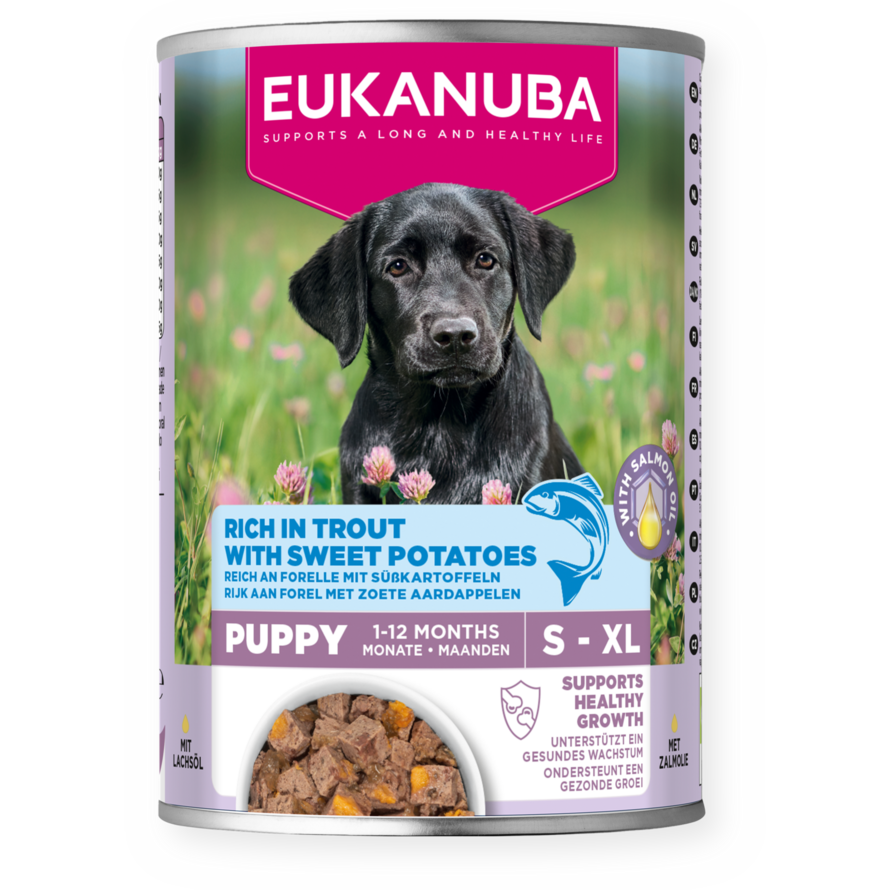 Rich in Trout with Sweat Potato