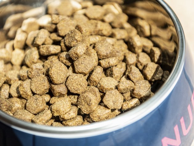 Eukanuba grain free puppy food best sale