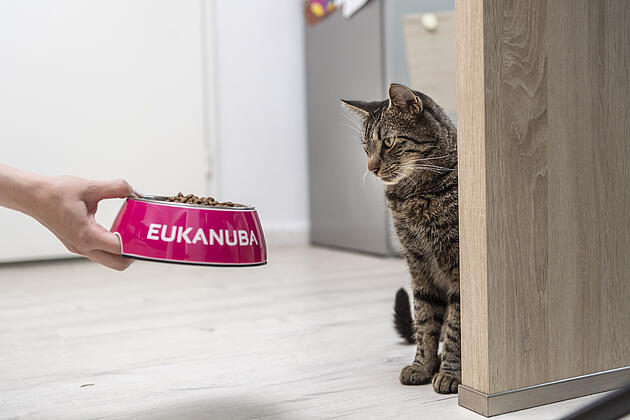 Wet food EUKANUBA