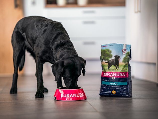 Premium Dry Dog Food from Eukanuba EUKANUBA