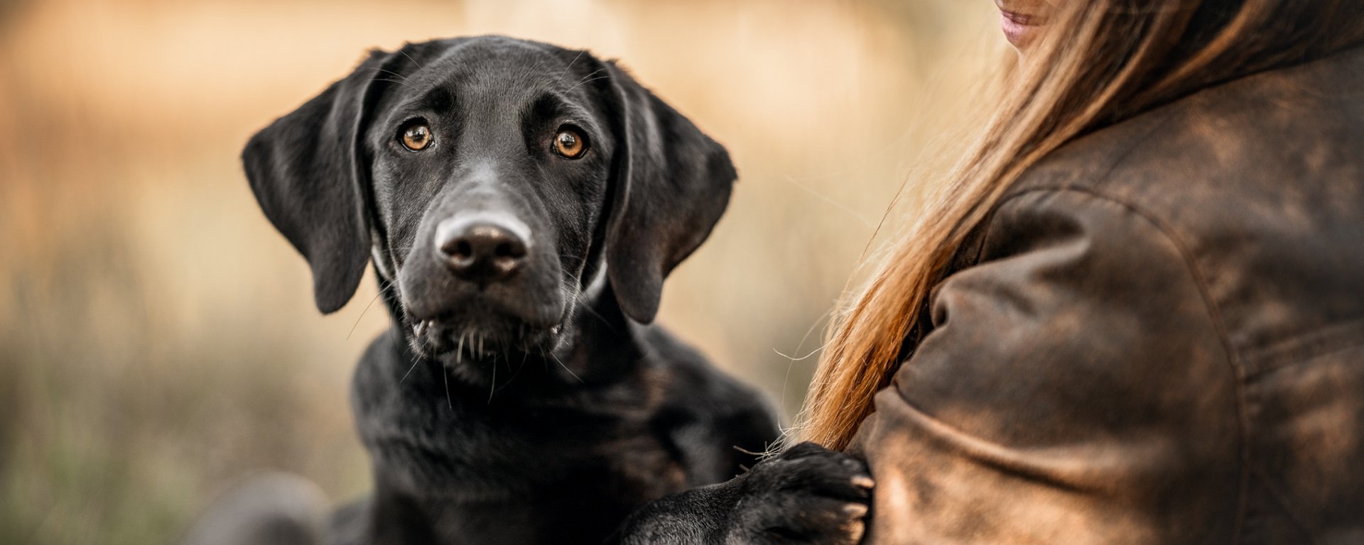 Prisionero Insustituible acción Lista de sugerencias para nuevos cachorros - empiece aquí para triunfar »  EUKANUBA