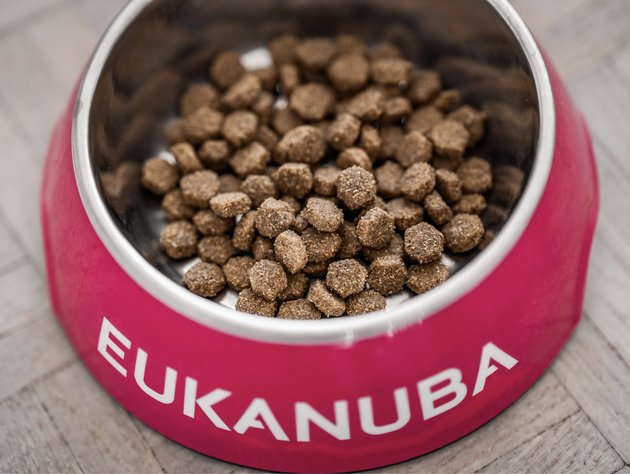 Dry food what is the shelf life EUKANUBA